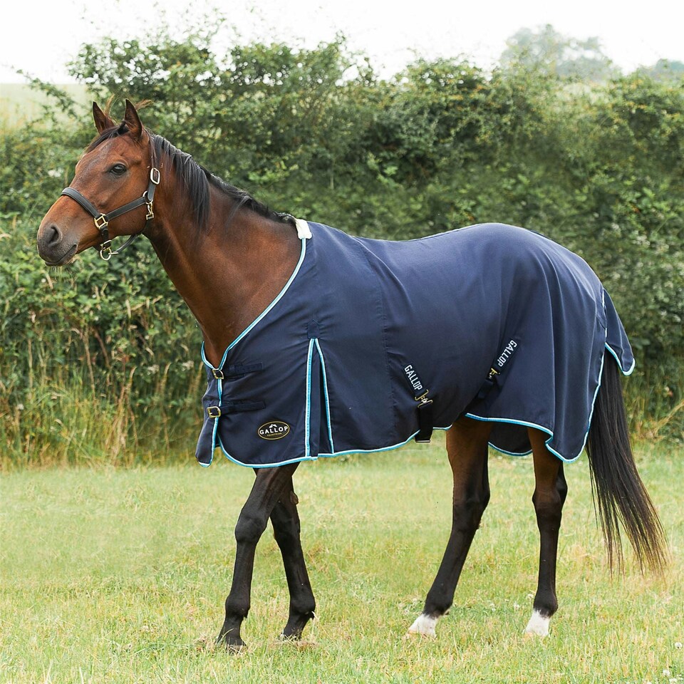 image 1 of Gallop Equestrian Summer Sheet Pink | Size: 6ft 0
Colour: Burgundy