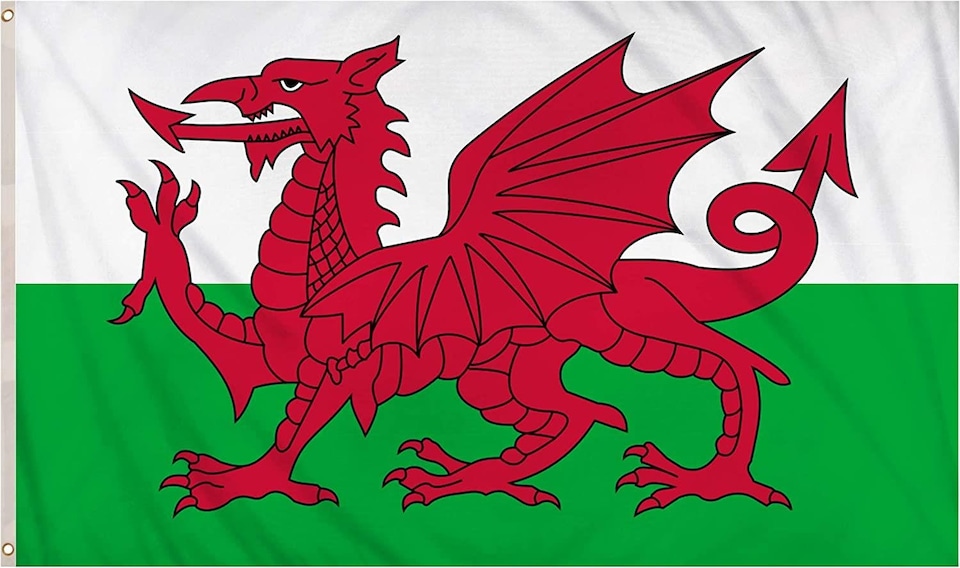 image 1 of Welsh Flag 2ft x 3ft | Multi