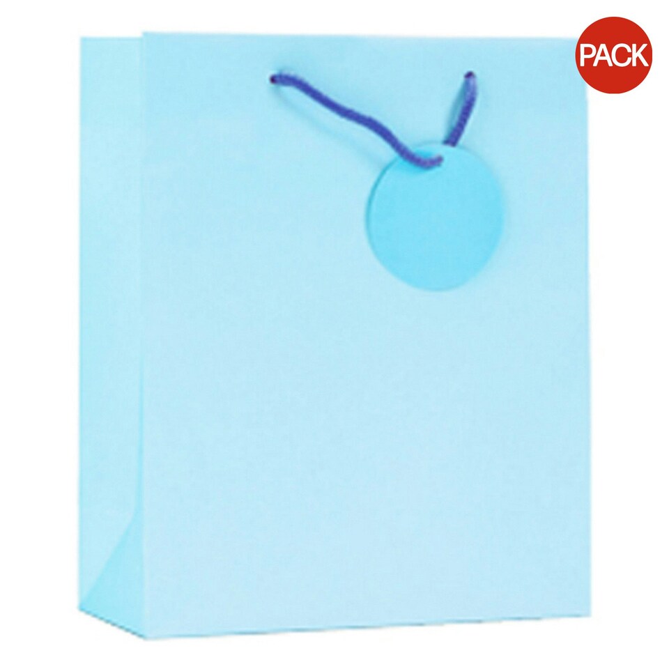 image 1 of Simon Elvin Finishing Touch Single Colour Large Gift Bag (Pack Of 6) - Pale Blue - One Size