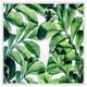 image 1 of Tropical palm (Picutre Frame) White | L