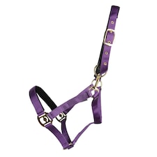 Hy Fieldsafe Horse Headcollar - Purple - Full
