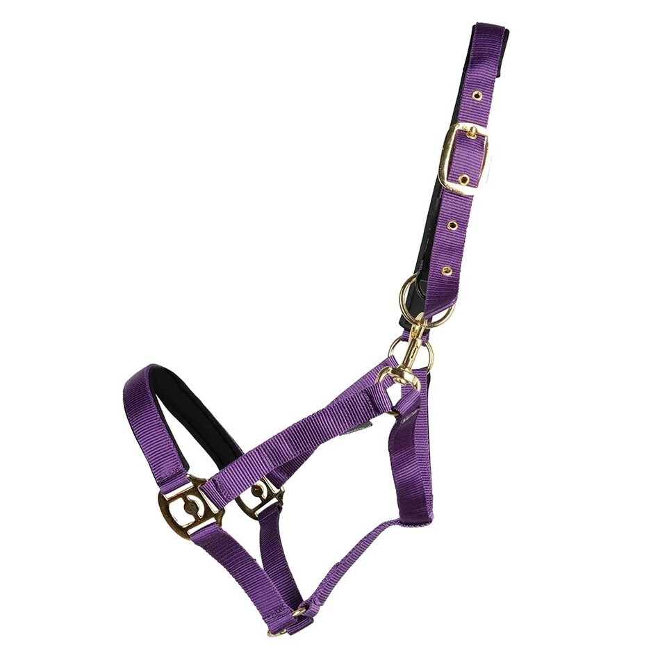 Hy Fieldsafe Horse Headcollar - Purple - Full