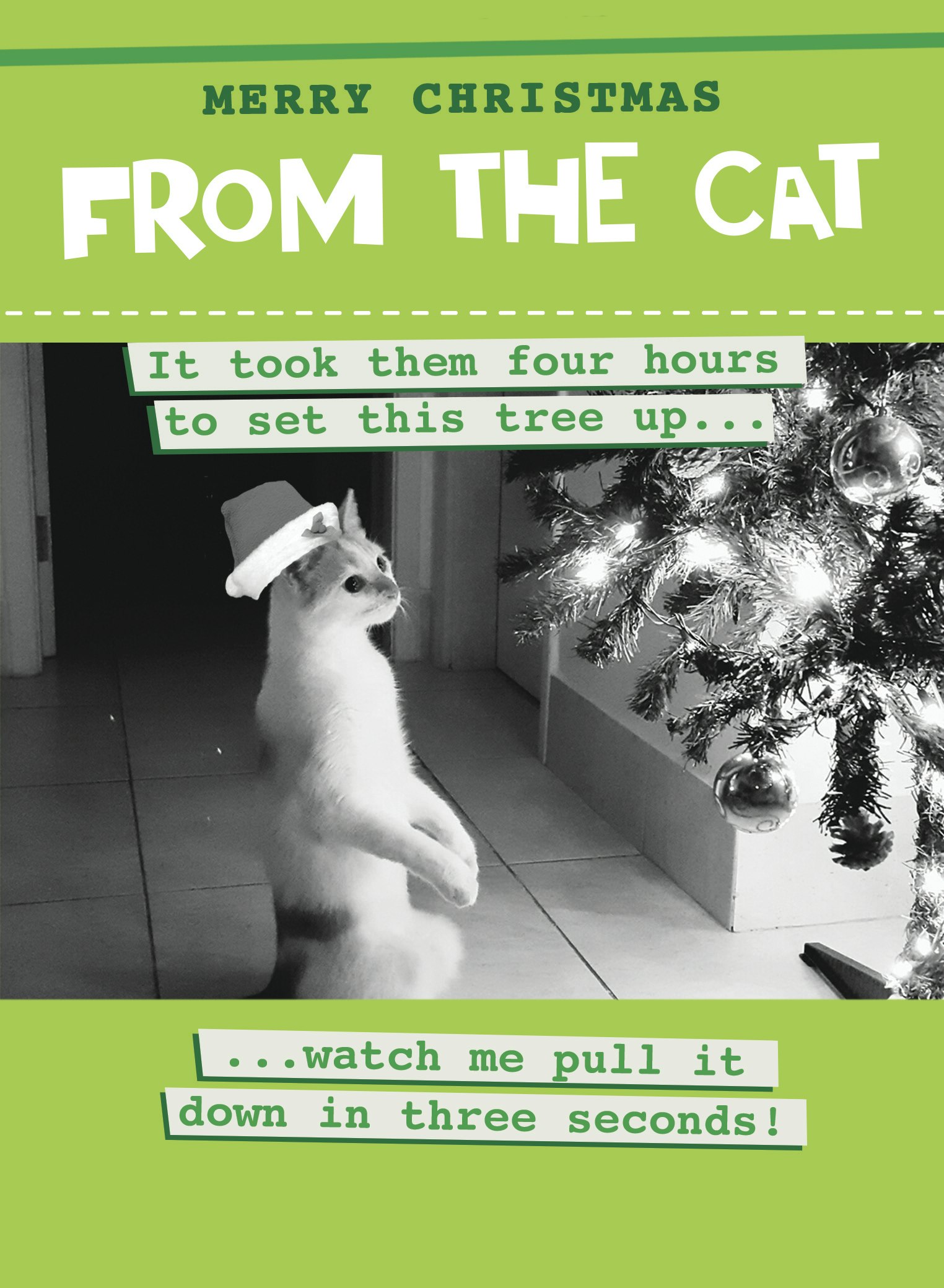 From The Cat - It Took Them Four Hours To Set This Tree Up... - Funny Cat Christmas Card