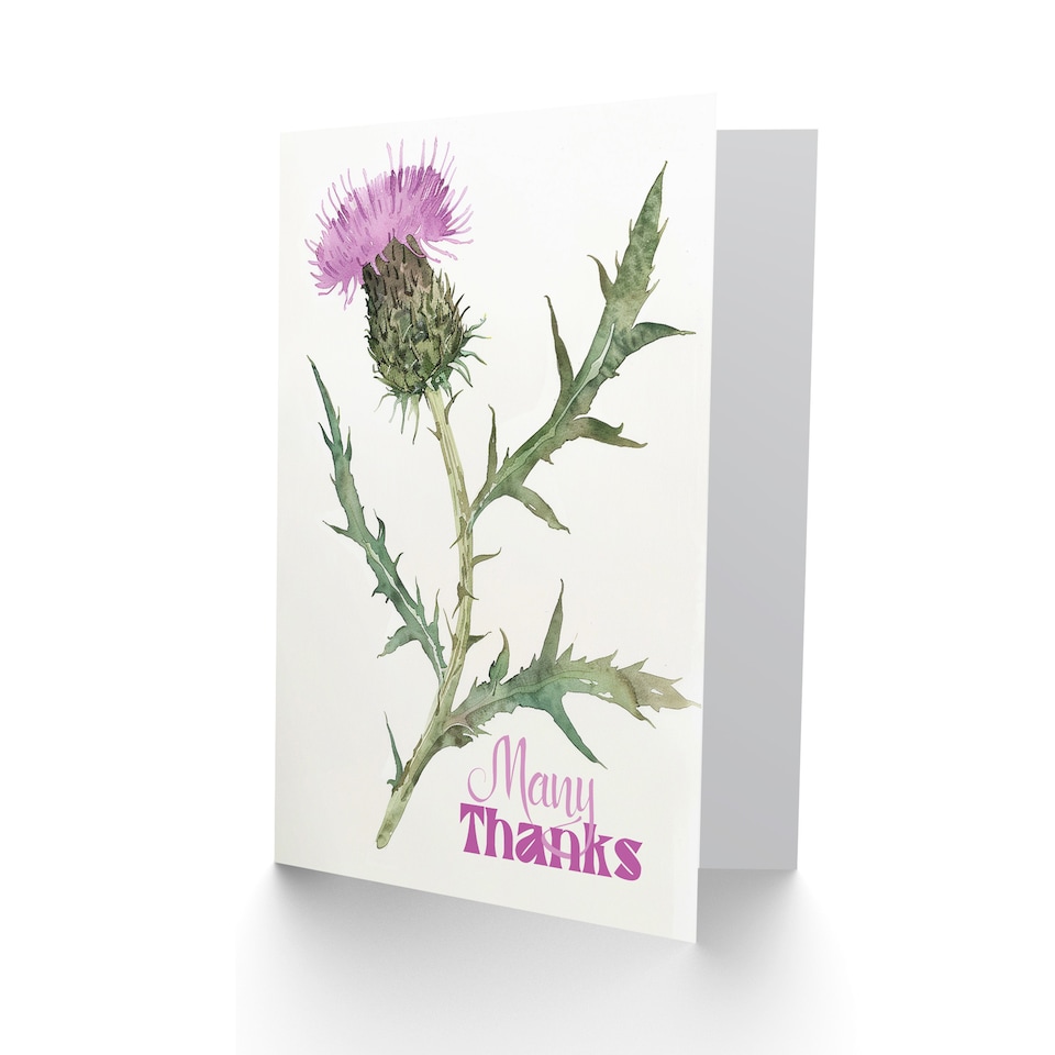image 1 of Single Scottish Thistle Flower Bloom Watercolour Thank You Card