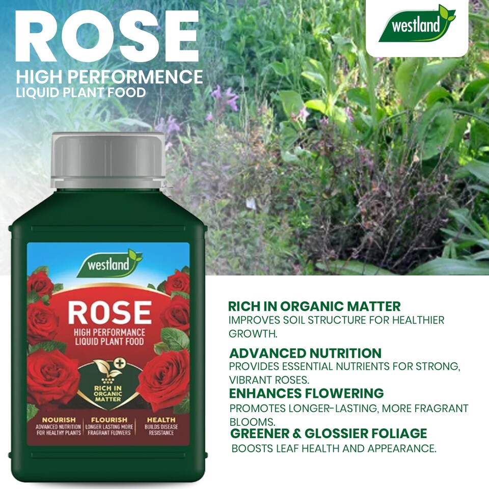 image 1 of Westland Rose High Performance Plant Food Liquid 1L & Granular 3kg Horse Manure Enriched Feed for Healthy Vibrant Roses
