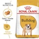 image 1 of Royal Canin Bulldog Adult Dry Dog Food - 12 kg | Multi | 12kg | Chicken | 1