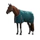 image 1 of Weatherbeeta Comfitec Classic Standard-Neck 220g Horse Turnout Rug | Green | Forest Green/Black | 7Ft | 1