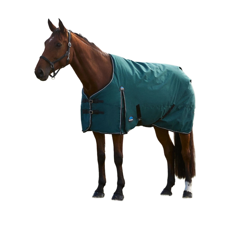 image 1 of Weatherbeeta Comfitec Classic Standard-Neck 220g Horse Turnout Rug | Green | Forest Green/Black | 7Ft | 1