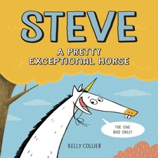 Steve A Pretty Exceptional Horse