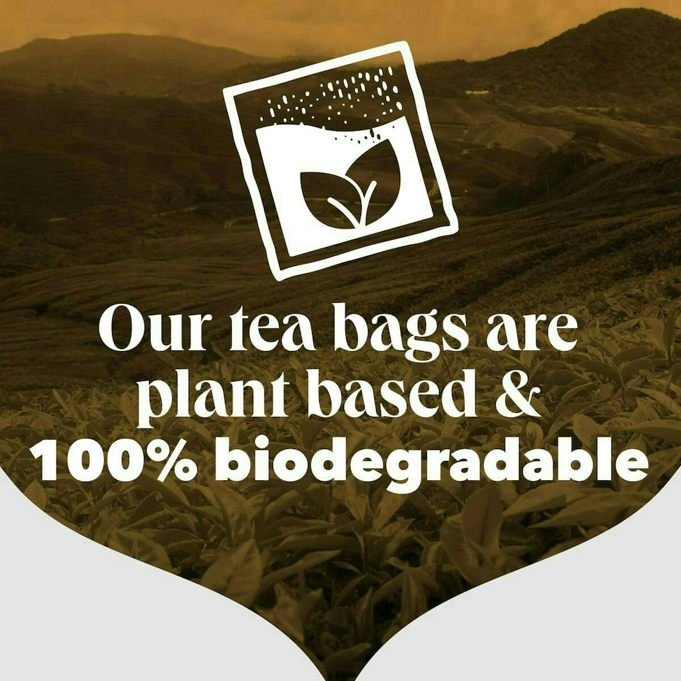image 1 of PG Tips Special Blends English Breakfast Tea, Bold & Strong Flavour, 70 Teabags, 6 Pack