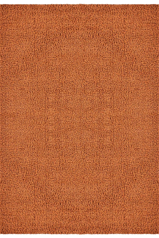image 1 of Desire Rugs Ainsley Plain Living Room Shaggy Area Rug