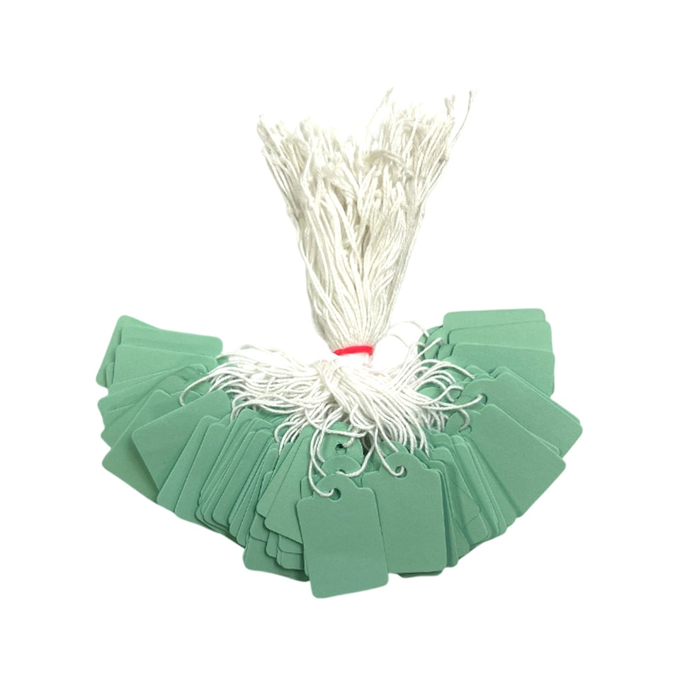 image 1 of Pack of 100 Medium Pastel Green Strung Tags 25 x 39mm
