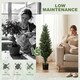 image 4 of HOMCOM Set of 2 Decorative Artificial Plants Cypress in Weighted Pot, 120cm