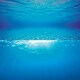 image 1 of Juwel Aquarium Poster 2 N/A | Extra Large