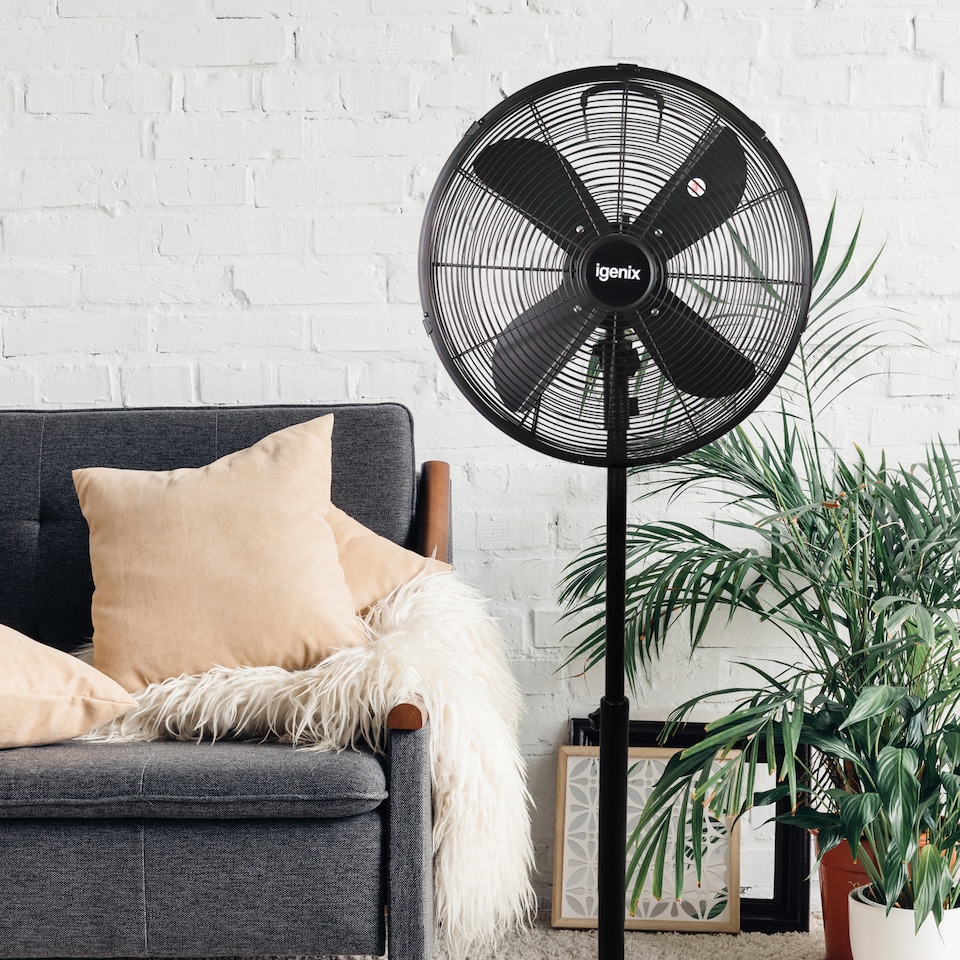 image 1 of Igenix Pedestal Fan, 16 Inch, Oscillating, 3 Speeds, DF1660BL, Black