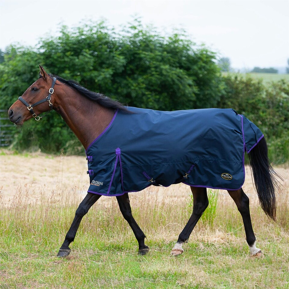 image 1 of Gallop Equestrian Trojan Light Weight Turnout Rug Blue | Size: 6ft 3
Colour: Navy Blue