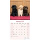 image 3 of Labrador Retrievers (Chocolate, Black, Yellow, Fox Red) 2026 Calendar | Square Wall Calendar | Dog Breed Gift | Plastic Free Packaging | by Avonside Publishing