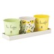 image 2 of English Tableware Company Bee Beautiful Set of 3 Pots