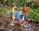 image 2 of Henry Wag Grey Microfibre Drying Coat For Use After Bath Time Or A Muddy Walk, Size X-Large 65cm | Grey | Grey | XL | 1