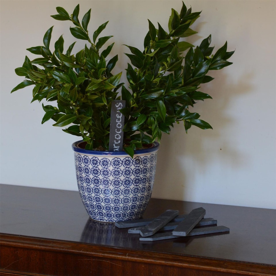 image 1 of Nicola Spring Slate Plant Markers - 2 x 15.5cm - Natural - Pack of 6