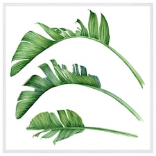 Triple botanical (Picture Frame) White | L