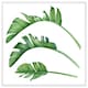 image 1 of Triple botanical (Picture Frame) White | L