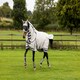 image 4 of LeMieux Kudos Gladiator Fly Rug Grey | 6ft 3