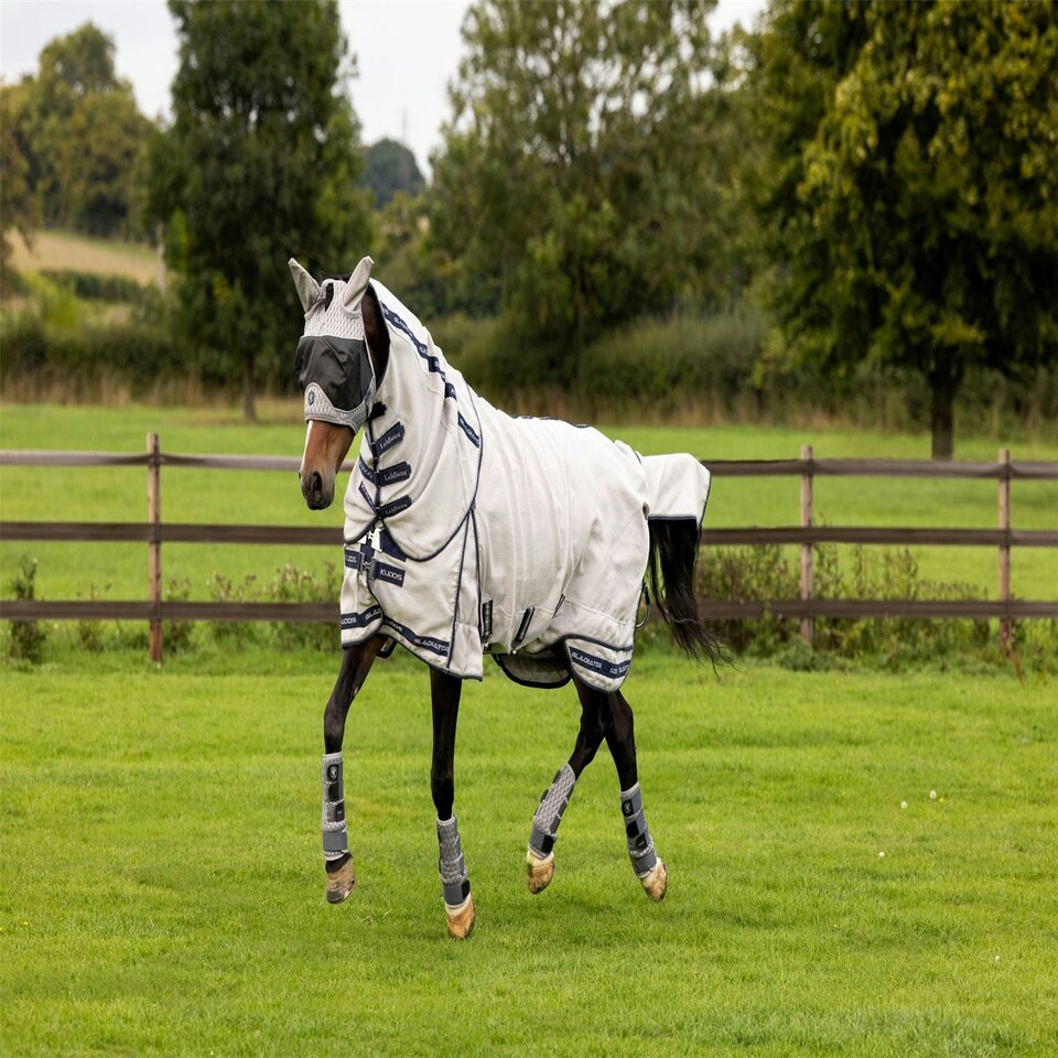 image 1 of LeMieux Kudos Gladiator Fly Rug Grey | 6ft 3