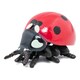 image 3 of PAPO Wild Life in the Garden Ladybird Toy Figure