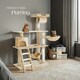 image 3 of Cat Tree Marcel - 141 cm, sisal cat scratching post - Beige