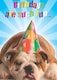 image 1 of Happy Birthday Dog 3D Holographic Greetings Card