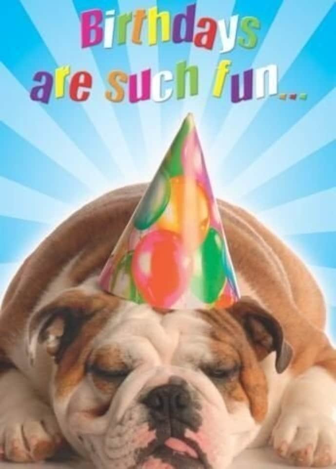 image 1 of Happy Birthday Dog 3D Holographic Greetings Card