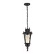 image 5 of Baltimore 1 Light Medium Outdoor Ceiling Chain Lantern Weathered Bronze, E27