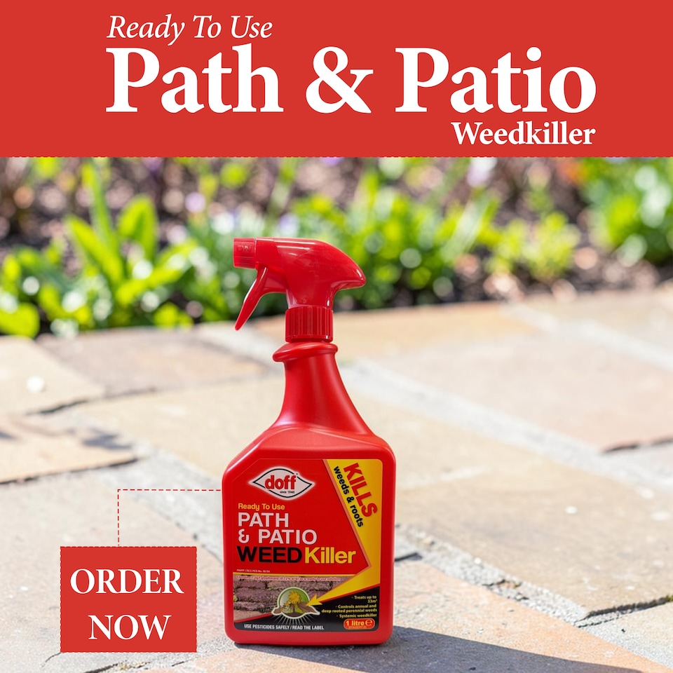 image 1 of Doff Path Patio Weedkiller Ready To Use Systemic Weed Control 1L Spray Bottle