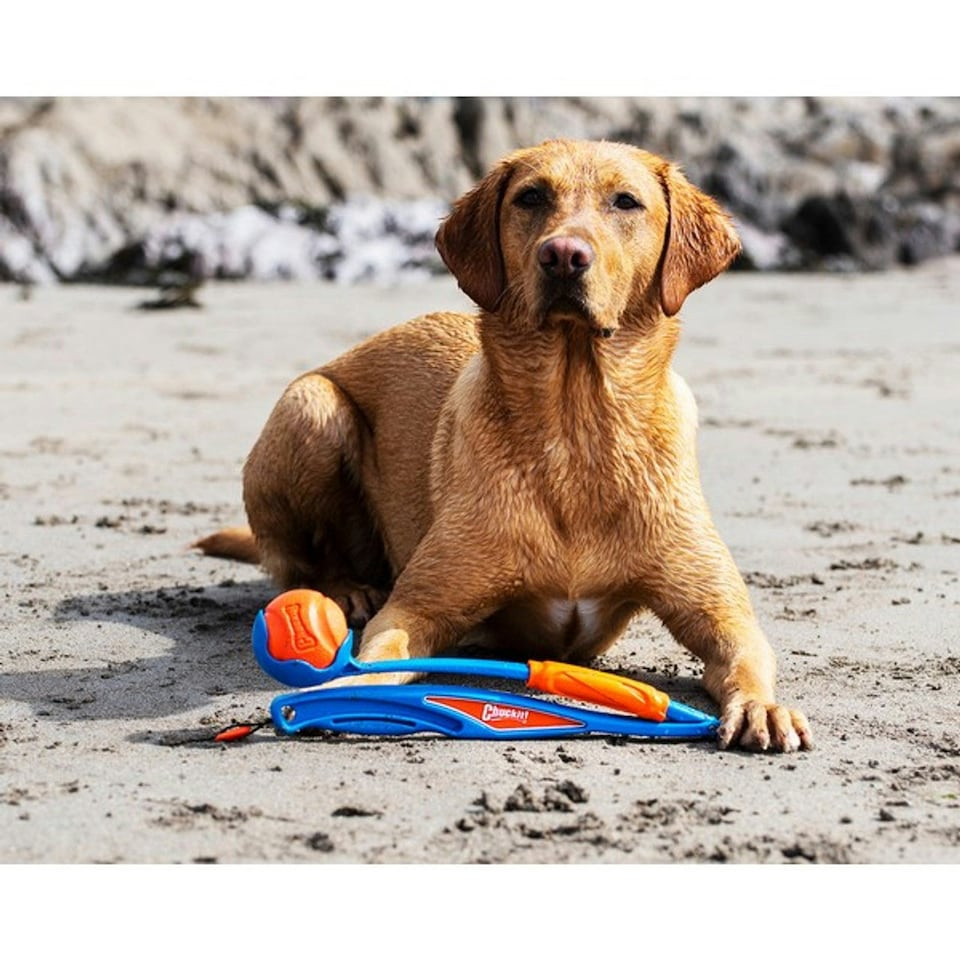 image 1 of Chuckit! Fetch & Fold Dog Ball Launcher