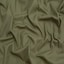 Fern Green