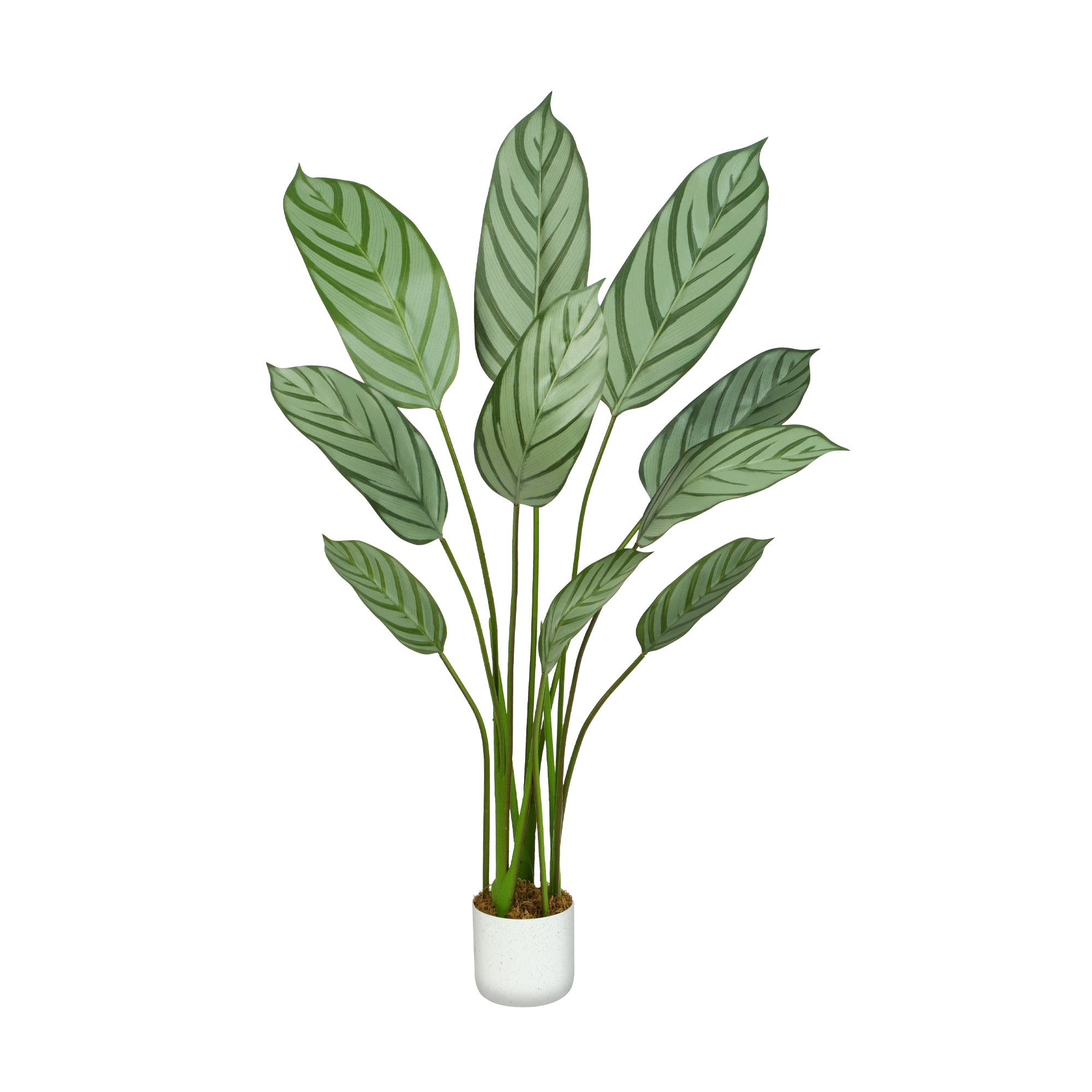 Mcc Direct - Decorative Artificial Bird Of Paradise Tree With Plastic Planter And Artificial Moss 110cm