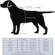 image 4 of Henry Wag Waterproof Dog Coat With Adjustable Collar (Medium 45cm)