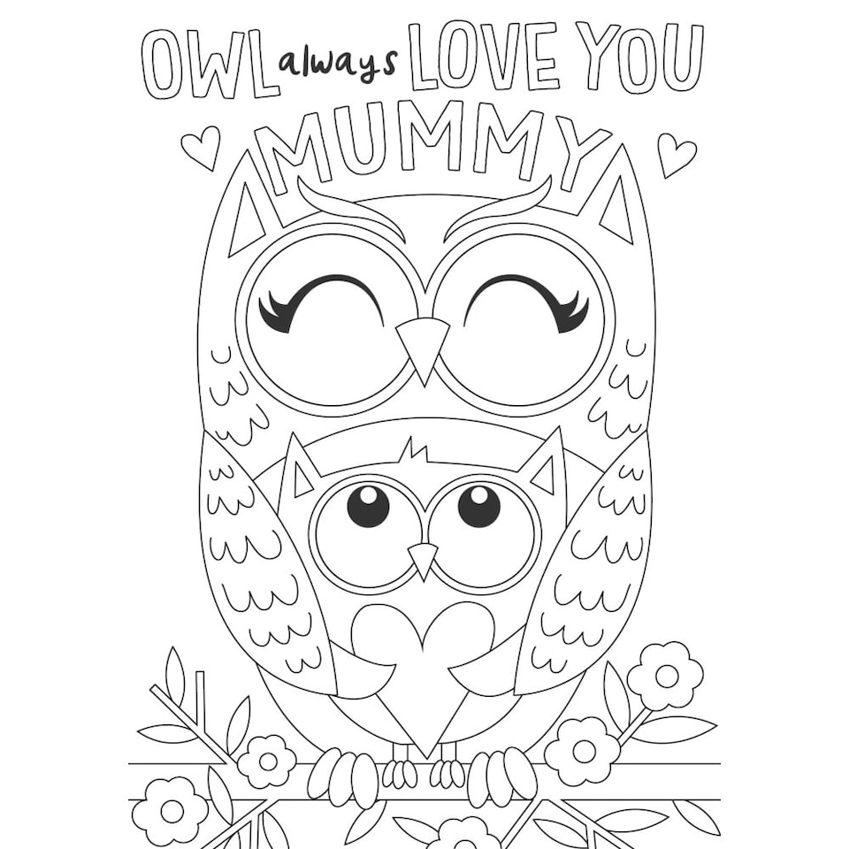 image 1 of Two Owls Design Mummy Mother's Day Card with Colouring Activity and Stickers