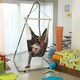 image 3 of Luna Rockstone Hanging Chair Hammock Stand N/A