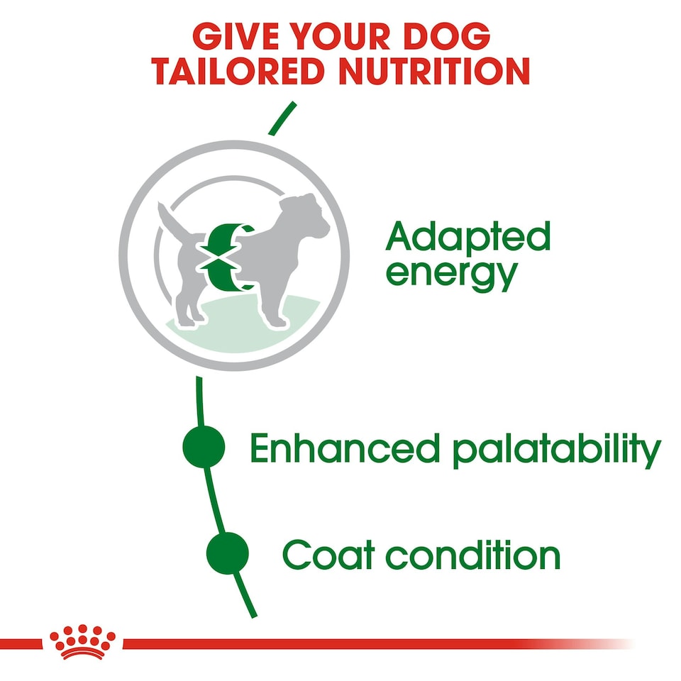 image 1 of ROYAL CANIN® Mini Adult Dry Dog Food N/A | Size: 2kg