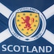 image 2 of Scottish FA Crest Flag | Blue | Blue | One Size | 1
