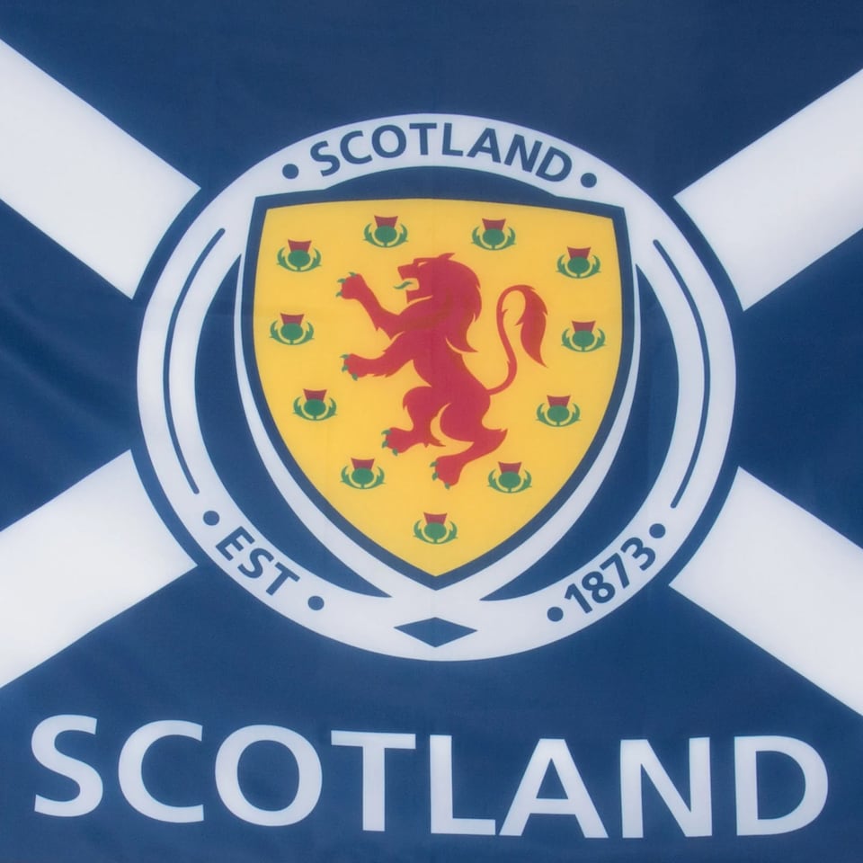 image 1 of Scottish FA Crest Flag | Blue | Blue | One Size | 1