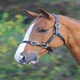 image 1 of Shires Blenheim Fully Adjustable Leather Headcollar Black | Size: Full
Colour: Black