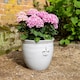 image 4 of Primrose Medium Stoneware Debossed Logo Round Planter In Cream 34cm