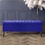 Sapphire Blue Plush Velvet