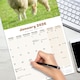 image 5 of Sheep 2026 Calendar | Square Wall Calendar | Farm Animal Gift | Plastic Free Packaging | by Avonside Publishing