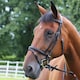 image 1 of Gallop Equestrian Padded Bridle + Rubber Reins Brown | Size: Pony
Colour: Brown