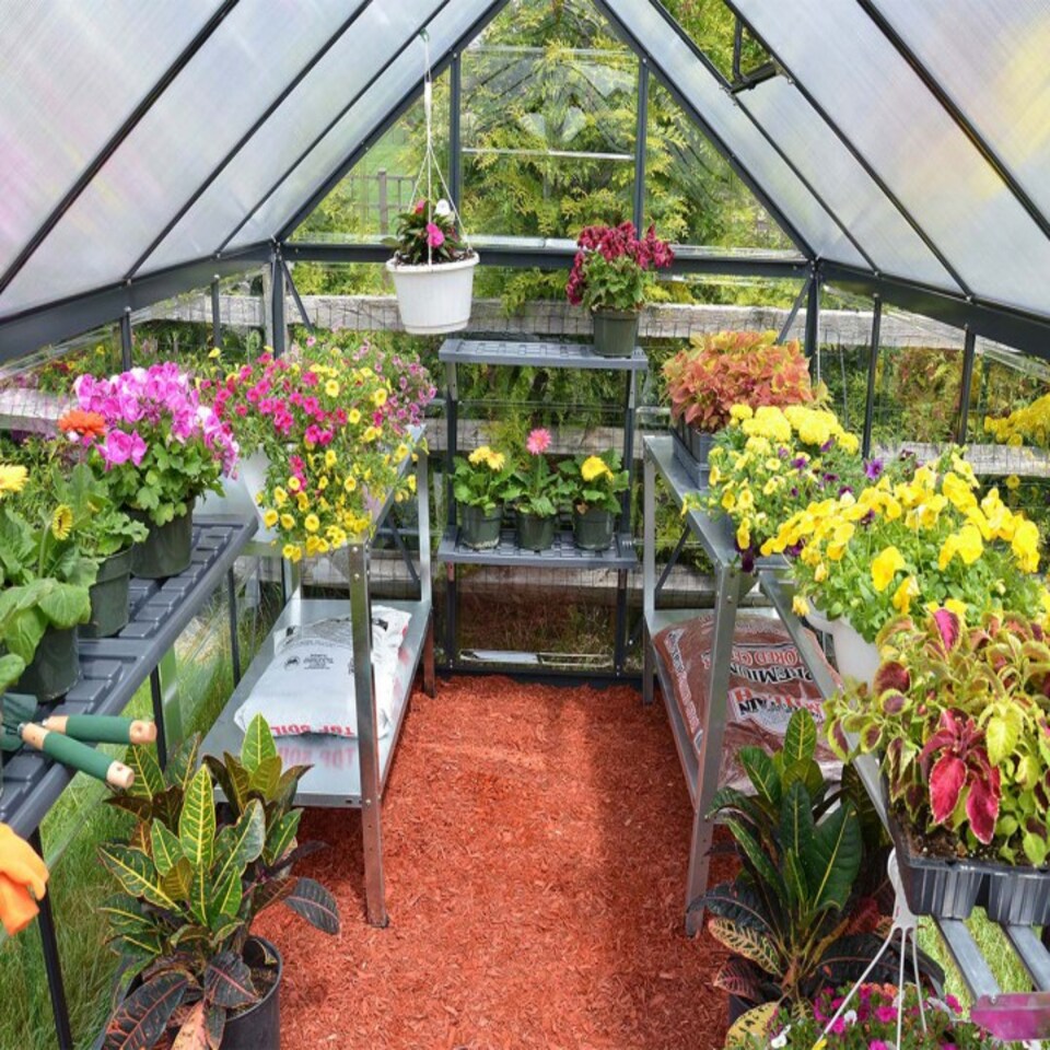 image 1 of Greenhouse Hybrid 6X10 - Polycarbonate - L306 x W185 x H208 - Grey