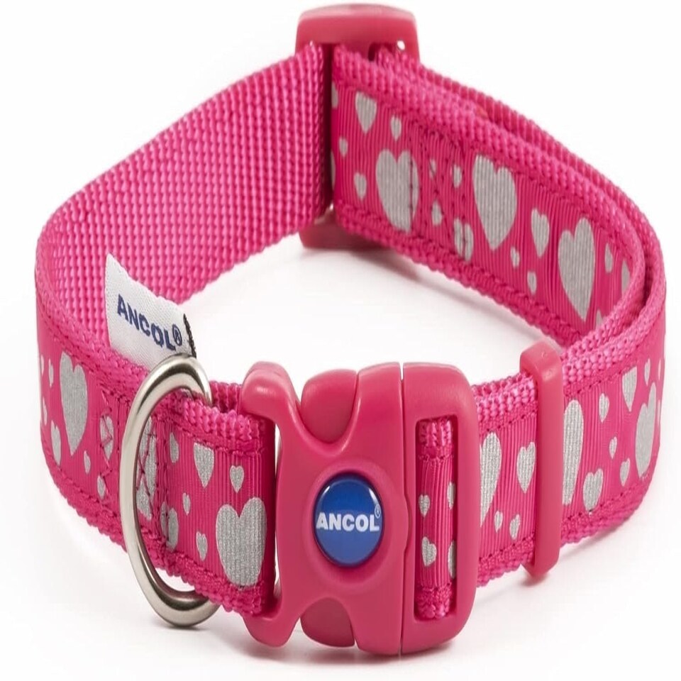 image 1 of Ancol Fashion Collar, Medium